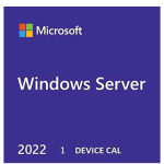 Microsoft Windows Server 2022 - Licenza - 1 licenza CAL terminale - Multilingue - Worldwide